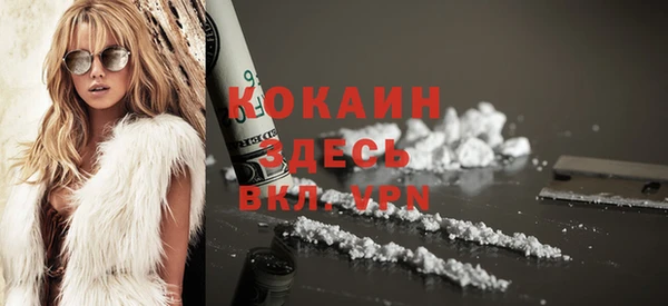 прущий лед Алзамай
