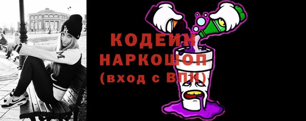 прущий лед Алзамай