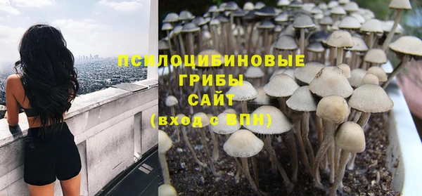 сатива Пересвет
