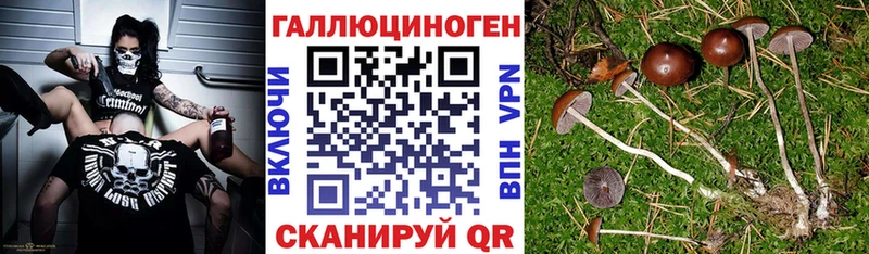 Галлюциногенные грибы ЛСД купить наркотик Ленинградская